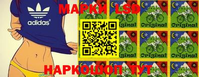 мдпв Будённовск