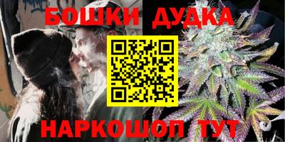 мдпв Будённовск