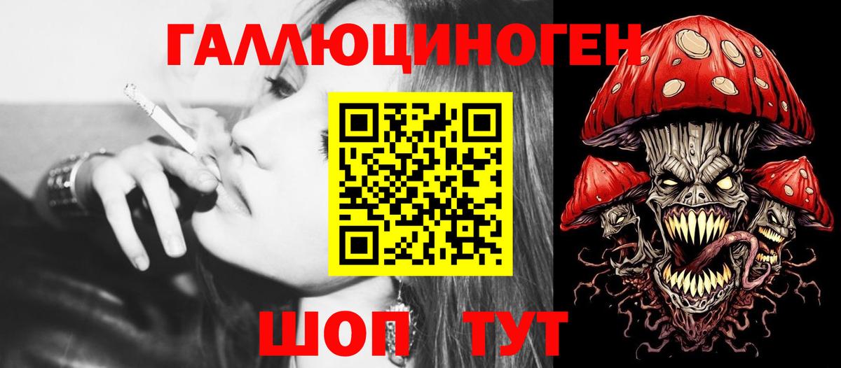 Псилоцибиновые грибы GOLDEN TEACHER Моздок